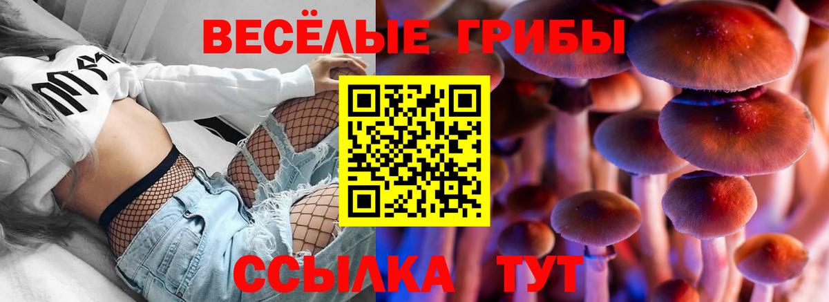 Псилоцибиновые грибы MAGIC MUSHROOMS Кувандык